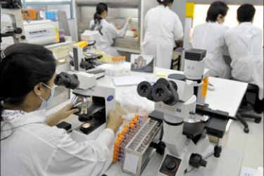 afp : Medical technicians at the Reserch Institute for Tropical Medicine virology laboratory perform tests for viruses including dengue fever, A(H1N1) swine flu and HIV/AIDs, in