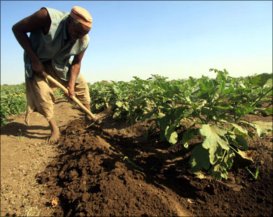 تطوير الزراعة بجنوب السودان سيقلّص اعتماده على النفط (رويترز-أرشيف)