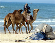 شاطئ قطاع غزة المحاصر كما ظهر في فيلم 