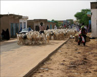 الأزمة التي خلفتها السيول تمثل ضربة لاقتصاد موريتانيا (الجزيرة)