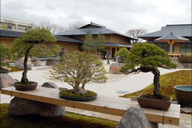 (dpa)أول متحف لفن البونساي في اليابان يسحر الزوار