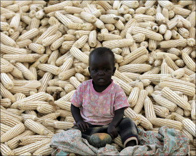 طفل يجلس على كومة من محصول الذرة بإحدى المناطق الريفية في ملاوي (رويترز)