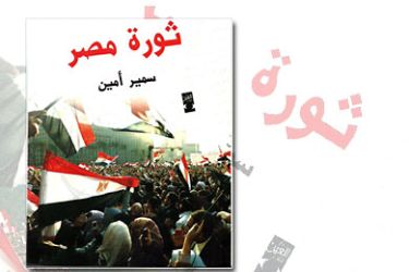 كتاب ثورة مصر