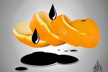 عالم بريطاني يتوصل إلى طريقة مبتكرة لتحويل قشر البرتقال إلى نفط باستخدام الفرن الكهربائي (المايكروويف)