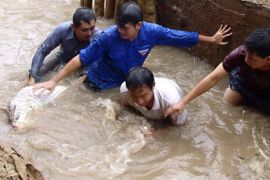 r_Residents use sandbags to save a broken dyke due to flooding at the Mekong river in An Giang province September 28, 2011.