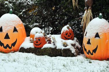 Westminster, Maryland, UNITED STATES : A snow covered Halloween decoration is seen in the town of Westminster, MD, October 29, 2011. An unusually cold weather hit the North East part of the United States a few days before Halloween. AFP PHOTO/ MLADEN ANTONOV