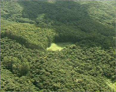 غابات الأمازون تحتوي على خمس ثروة العالم المائية (الجزيرة نت)