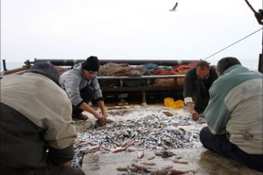 الصيادان أحمد الهسي ومعه ياسين الفصيح (يمين) يعملون عن فرز الأسماك التي اصطادوها مع رفاقهم على سطح المركب.