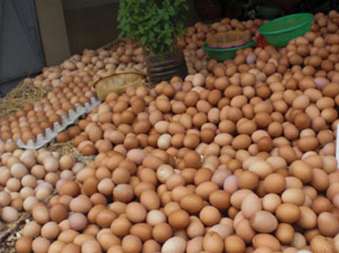 مليون بيضة للمغاربة في شهر رمضان الحسن سرات- الرباط