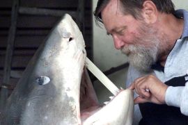 SYD02 - 20020422 - SYDNEY, AUSTRALIA : Skipper Robert Van Lawick with the head of a three-metre (10 foot), 368 kilogram (800 pound) tiger shark in Sydney, Monday 22 April 2002. Four fishermen including Van Lawick, caught the shark 26 nautical miles off the New South Wales coast 21 April, taking it inshore to be weighed, where it was also cut open revealing human remains including a skull, arm and pelvis. EPA PHOTO FAIRAX/PETER RAE/gw/ta/ja