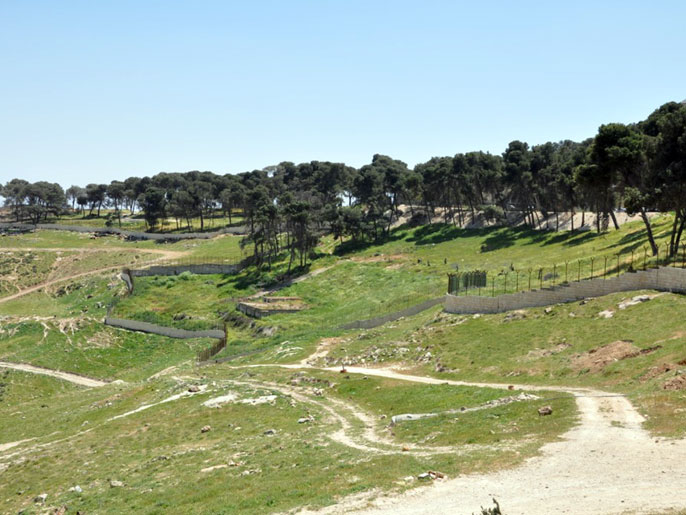 أراض تابعة لأهالي بلدة العيسوية يخطط  الاحتلال لإقامة حديقة توراتية عليها (الجزيرة)