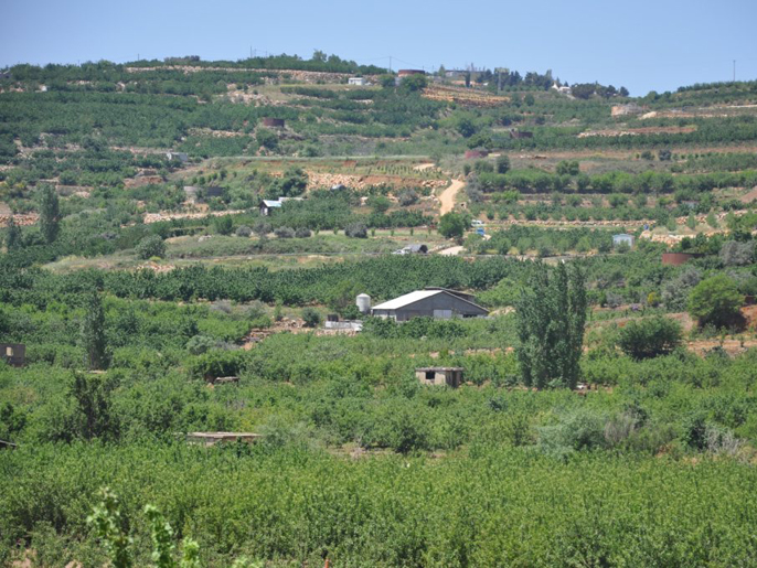 مزارع القرى العربية تمكن السائح من قطف المحاصيل بنفسه (الجزيرة نت)