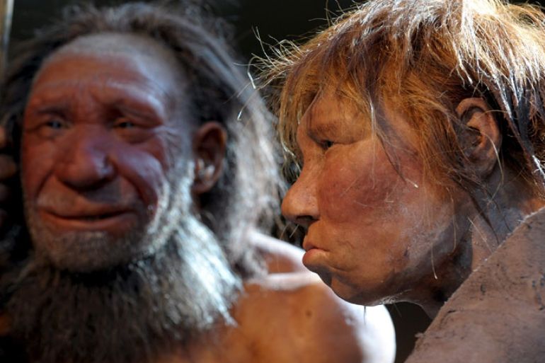 The reconstruction of a Neanderthal woman (R) and man (L) at the Neanderthal Museum of Mettmann, Germany, 20 March 2009. As spring is here, the Neanderthal man gets the company of a woman - red-haired and in her twenties - who wears her most beautiful summer dress. For the time being, the exact reconstruction of a Neanderthal woman will join the conspecific man in the museum. EPA/FEDERICO GAMBARINI