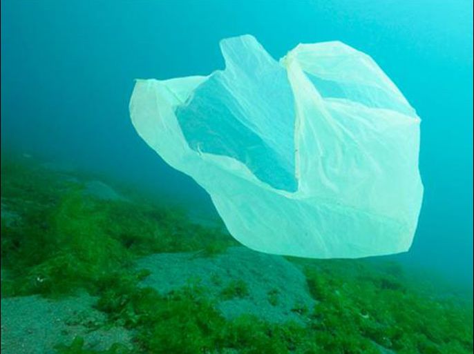 النفايات البلاستيكية موطن الكثير من الكائنات البحرية