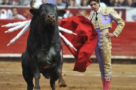 epa03073492 French bullfighter Sebastian Castella with his first bull 'Perlito', weighing 524 kg, at the Bullring of Mexico held in Mexico City, 22 January 2012. EPA/Mario Guzman