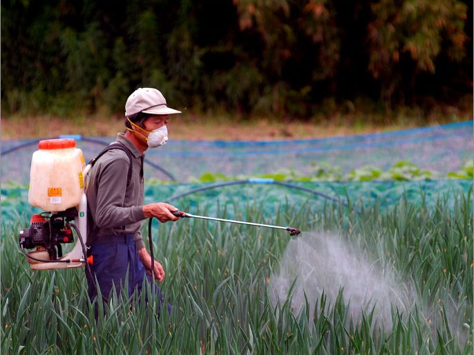epa00746643 A farmer sprays pesticide over rice paddy at a farm in Chiba Prefecture, Japan, Monday 19 June 2006. In Japan, the use of pesticides has increased dramatically since World War II reducing agricultural labor but