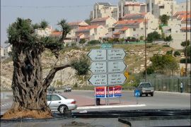 مشهد لمستوطنة معاليه أدوميم شرقي القدس: سرقوا حتى أشجار الزيتون لتزيين الميادين العامة"
