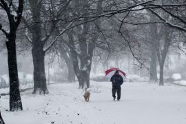 Berlin, Berlin, GERMANY : A man takes a walk with his dog during a snowfall on December 9, 2012 in Berlin. AFP PHOTO / ROBERT SCHLESINGER GERMANY OUT