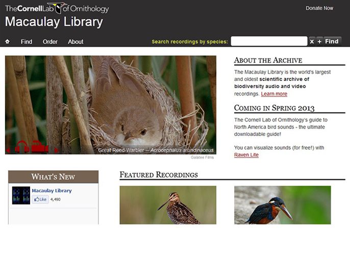 إطلاق أكبر مكتبة لأصوات الطبيعة على الانترنت