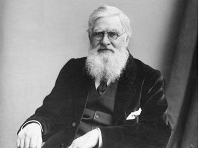 Alfred Russell Wallace in 1900: the Welsh naturalist developed a theory of natural selection at the same time as Charles Darwin. Photograph: Hulton-Deutsch Collection/Corbis