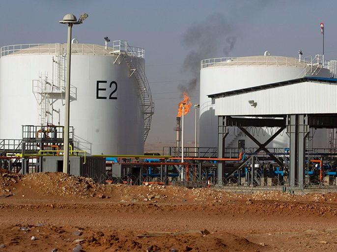 A gas field is seen near Zarzaitine in In Amenas,1,600km (994 miles) southeast of Algiers January 22, 2013. REUTERS/Louafi Larbi (ALGERIA - Tags: ENERGY)