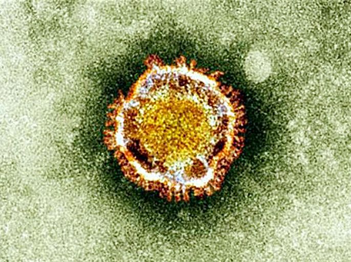 This undated handout picture courtesy of the British Health Protection Agency shows the Coronavirus seen under an electron miscroscope. French health authorities said one person was suspected of contracting a deadly new SARS-like virus after coming into contact with a man confirmed to be infected, following tests that cleared another three patients. "Further examinations are necessary" to determine if the patient has come down with the deadly novel coronavirus, the health ministry said in a statement on May 11, 2013.