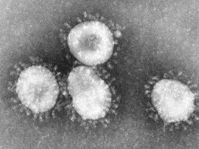 CDC Handout picture dated April 2003 shows a Coronavirus under a microscope. Coronaviruses are a group of viruses that have a halo or crown-like (corona) appearance when viewed under a microscope. US Centers for Disease Control (CDC) scientists were able to isolate a virus from the tissues of two patients who had SARS and then used several laboratory methods to characterize the agent. Examination by electron microscopy revealed that the virus had the distinctive shape and appearance of coronaviruses. B/W ONLY EPA PHOTO EPA / CDC