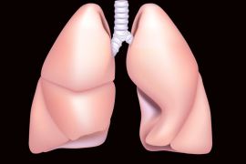 lung lungs رئة رئتين الرئة الرئتين رئوي
