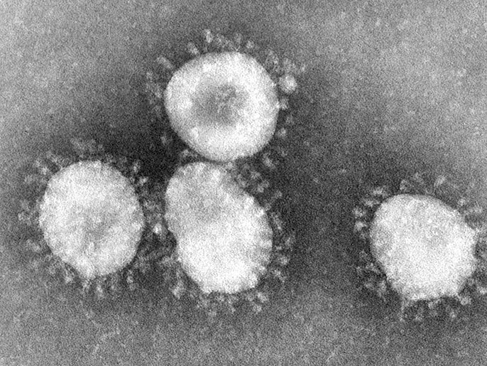 ‪د. عبد الستار: فيروسات كورونا تظهر تحت المجهر على شكل تاج، ومن ذلك أخذت اسمها اللاتيني 
