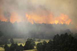 Colorado Springs, Colorado, UNITED STATES : COLORADO SPRINGS, CO - JUNE 12: Fire from the Black Forest Fire burns behind a stand of trees June 12, 2013 near Colorado Springs, Colorado. The fire has reportedly burned 80 to 100 homes and has charred at least 8,000 acres. Chris Schneider/Getty Images/AFP== FOR NEWSPAPERS, INTERNET, TELCOS & TELEVISION USE ONLY ==