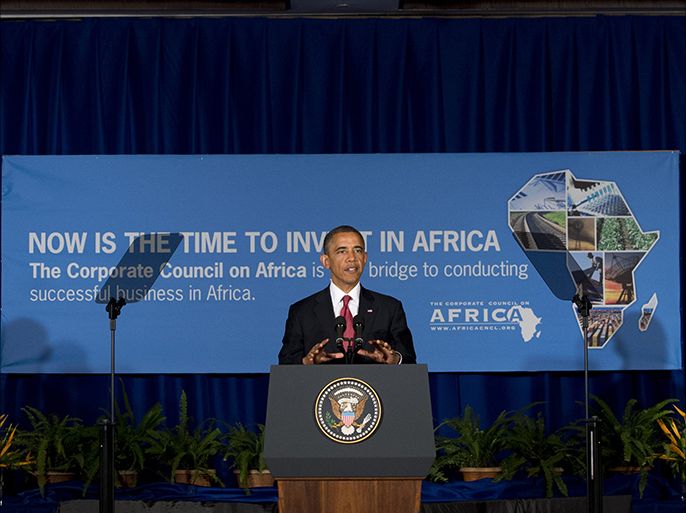 US President Barack Obama speaks following a CEO roundtable forum with regional and US business leaders in Dar Es Salaam, Tanzania, on July 1, 2013. AFP PHOTO / Saul LOEB