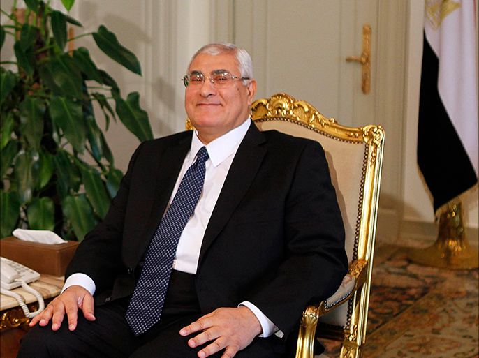 Egypt's interim President Adli Mansour attends a meeting with U.S. Deputy Secretary of State William Burns at El-Thadiya presidential palace in Cairo, July 15, 2013. Burns, the first senior U.S. official to visit Egypt since the army toppled its elected president meets officials on Monday to urge them to swiftly restore democracy, while thousands of supporters of the ousted Islamist leader take to the streets. REUTERS/Amr Abdallah Dalsh (EGYPT - Tags: POLITICS CIVIL UNREST)