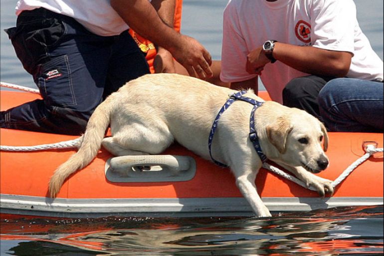 epa000214407 Filipino members of K-9 rescue team assist their dog in a sea rescue operation conducted by the Philippine Coast Guard and Philippine Navy in Manila, Friday 18 June 2004. The Philippine government continues to make its search and rescue team ready for any calamities and terrorism attacks. EPA/MIKE ALQUINTO
