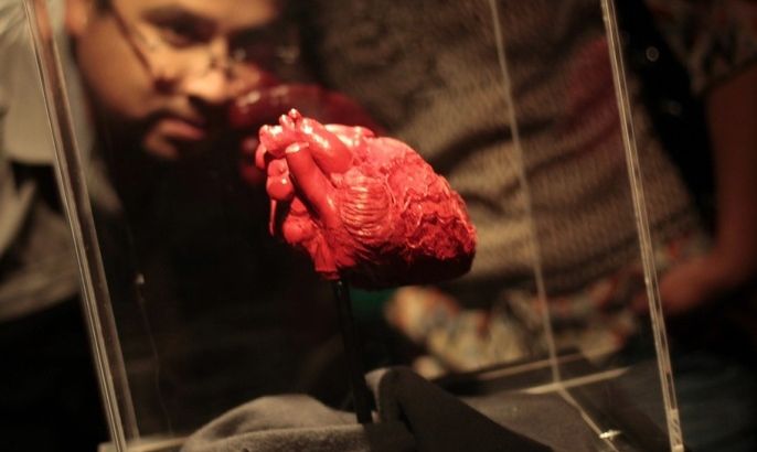A man looks at a plastinated heart during the exhibition "Body Worlds" by Gunther von Hagen at the Museo Miraflores in Guatemala City July 6, 2012. This is the first time that this exhibition, which according to local media more than 20 million people have seen around the world, is in Central America. Von Hagen is a German anatomist who invented plastination, the method for preserving biological tissue specimens. The exhibition shows whole bodies plastinated in lifelike poses and dissected to show various structures and system of human anatomy.
