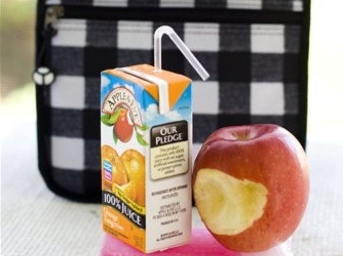 This July 6, 2011 photo shows an insulated lunch bag, juice box, apple and gel pack in Concord, N.H. One way to keep your child's lunch cool is with an insulated lunch box or bag and a frozen gel pack.