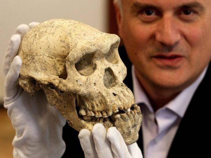 Professor David Lordkipanidze of the Georgia National Museum shows a skull of an ape-like man who lived about 1.8 million years ago in Tbilisi, Georgia 18 October 2013. The skull and its lower jawbone were found at a palaeontology site near the medieval town of Dmansi in the foothills of the Caucuses in Georgia, which has become one of the most important centers for understanding human origins outside Africa.