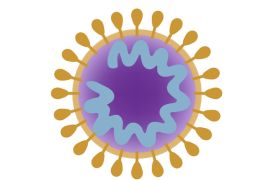 كورونا فيروس، corona virus، الوكالة الفرعية (تكتب بعد دريمز تايم) نغويت