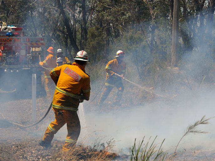 epa03920207 New South Wales (NSW) Rural Fire Service crews work to stop a fire after it reached Mountain Lagoon Road near the township of Bilpin, in the Blue Mountains, west of Sydney, Australia, 23 October 2013. High winds are fanning the fire which is currently still within containment lines. Residents were urged to flee fires burning for a week in the Blue Mountains with a combined perimeter of 1,600 kilometers. The forest blazes 70 kilometers west of Sydney have destroyed more than 200 houses and blackened more than 110,000 hectares. EPA
