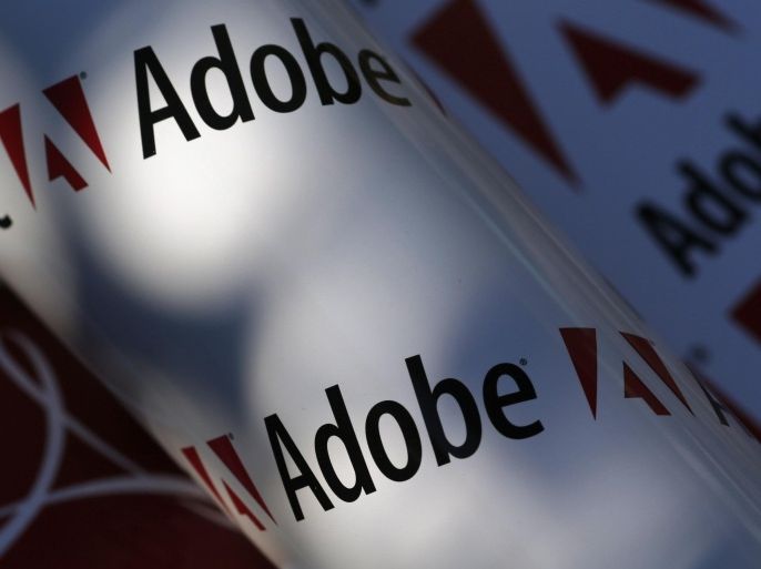 Adobe company logos are seen in this picture illustration taken in Vienna on July 9, 2013. REUTERS/Leonhard Foeger/Files