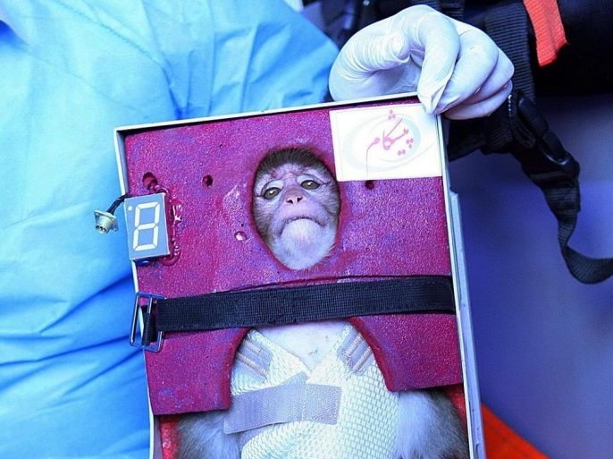 (FILE) A file picture date 28 January 2013 shows an Iranian scientist holding a live monkey at an unknown location in Iran, which Iranian state media reported had returned alive to the Earth after it traveled in a capsule to orbit. Reports on 14 December 2013 state that Iran has successfully sent a monkey into space for the second time this year, President Hassan Rowhani said. The monkey, named Fargam, was launched into orbit in a rocket that used liquid fuel for the first time, the ISNA news agency reported, and returned to Earth safely. There was no immediate information of when the launch took place. EPA/STRINGER *** Local Caption *** 50686986