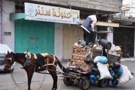لجأت بلديات غزة للدواب لنقل القمامة نتيجة أزمة الوقود