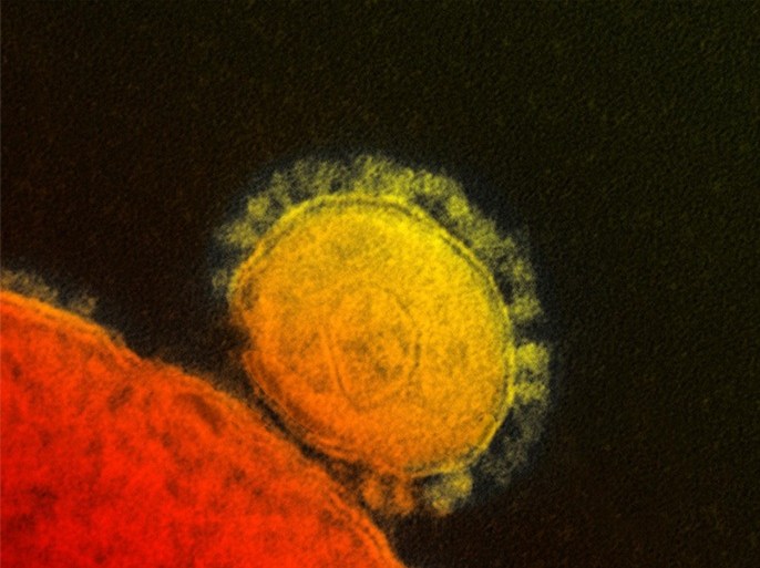 This undated electron microscope image made availalbe by the National Institute of Allergy and Infections Diseases - Rocky Mountain Laboratories shows a novel coronavirus particle, also known as the MERS virus, center. The mysterious new respiratory virus that originated in the Middle East spreads easily between people and appears more deadly than SARS, doctors reported Wednesday, June 19, 2013 after investigating the biggest outbreak in Saudi Arabia. (AP Photo/NIAID - RML)
