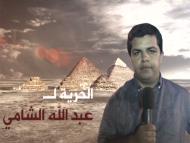 سفيرة أميركا بالأمم المتحدة ناشدت مصر إسقاط التهم عن عبد الله الشامي (الجزيرة)