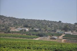 إسرائيل وظفت عشرات آلاف الدونمات بالضفة الغربية للاستيطان الزراعي