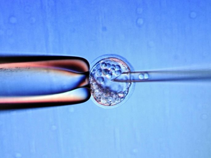Close up of a screen which shows an injection oto d'un écran montrant une micro-injection de embryo stem cells in a muse embryo to set a genetically modified line, on February 9, 2012, at the Centre d'Immunologie de Marseille-Luminy (CIML), in the transgenesis laboratory which in charge to create animals in order to understand how genes work, in Marseille, southern France.