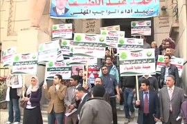 إضراب المهن الطبية في مصر