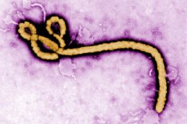 An undated handout image of the Ebola virus, created by CDC microbiologist Frederick A. Murphy and made available by the Centers for Disease Control and Prevention. According to CDC the colorized transmission electron micrograph (TEM) revealed some of the ultrastructural morphology displayed by an Ebola virus virion. A new outbreak of the highly contagious Ebola has been reported from western Uganda on 28 July 2012, 20 cases and 14 deaths recorded.