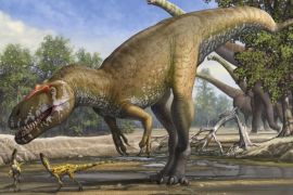 A Torvosaurus gurneyi dinosaur is seen in an undated artist's rendering released March 5, 2014. REUTERS/Sergey Krasovskiy/Handout via Reuters
