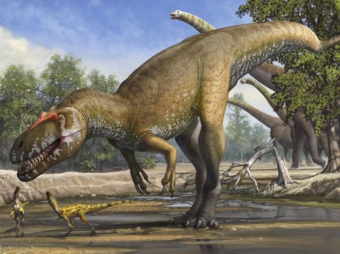 A Torvosaurus gurneyi dinosaur is seen in an undated artist's rendering released March 5, 2014. REUTERS/Sergey Krasovskiy/Handout via Reuters