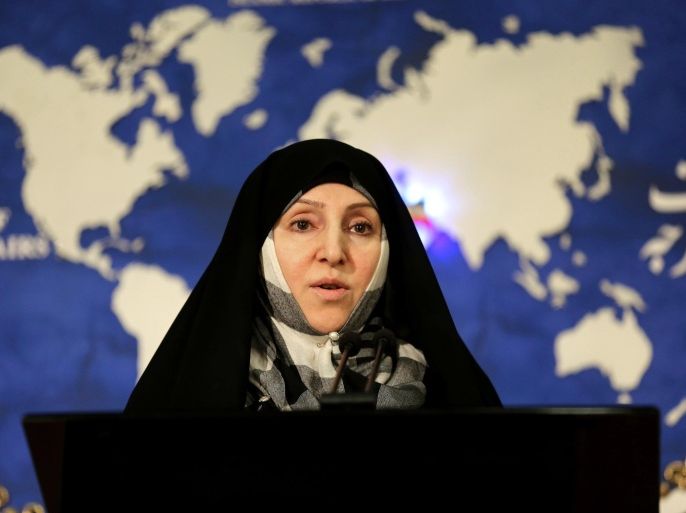 Iran's foreign ministry spokeswoman Marzieh Afkham speaks to the media during the weekly press conference in Tehran, on November 5, 2013. AFP PHOTO/ATTA KENARE